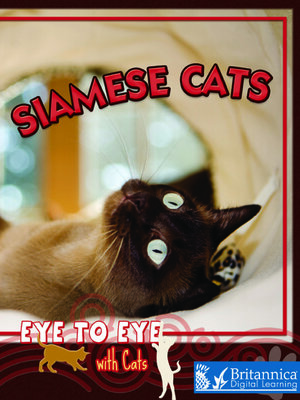 cover image of Siamese Cats